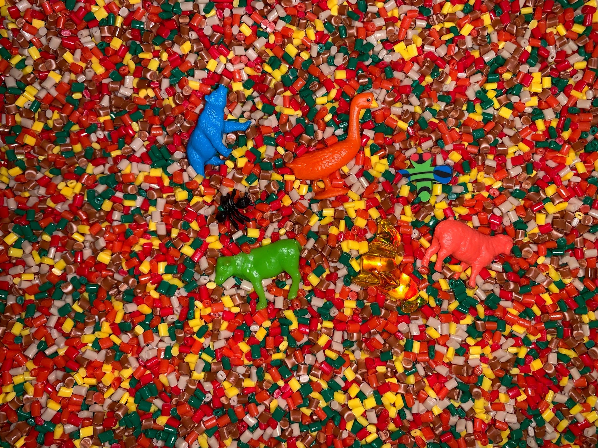 Find It Games: Zoo Seek & Find Treasure Hunt