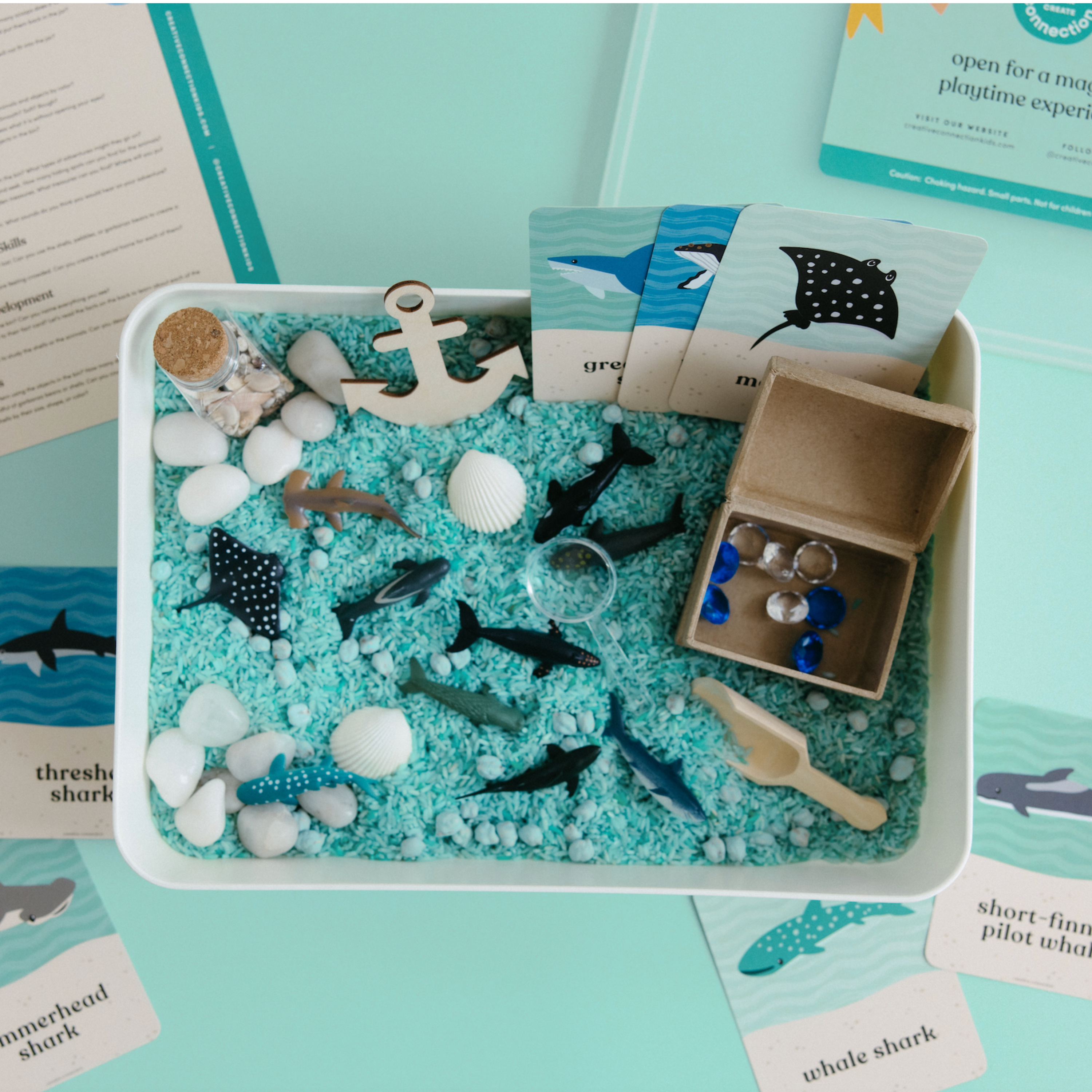 Ocean Explorer Sensory Bin