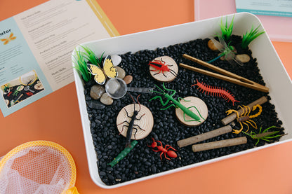 Insect Investigator Sensory Bin