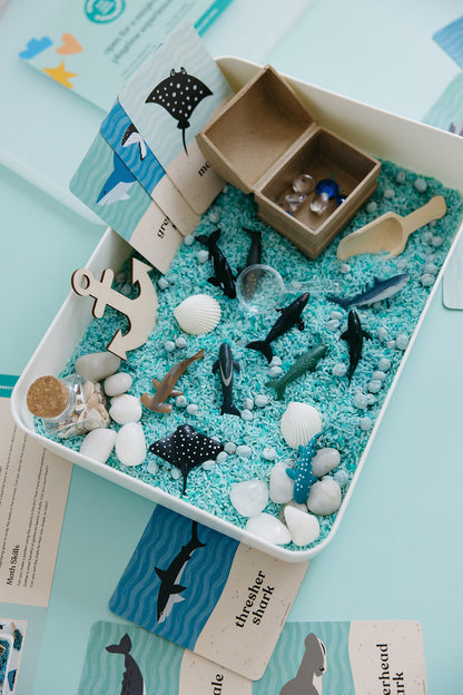 Ocean Explorer Sensory Bin