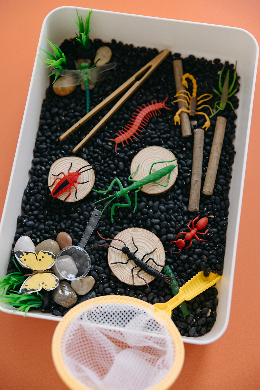 Insect Investigator Sensory Bin