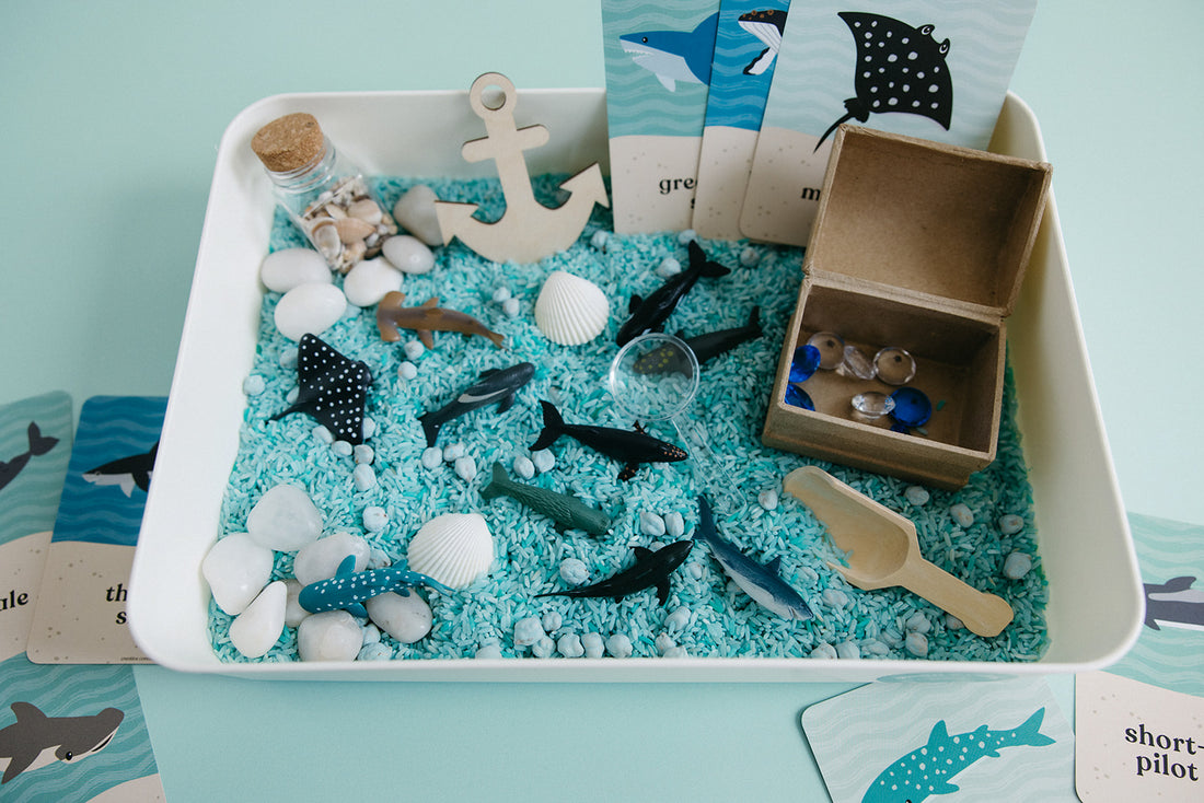 Ocean Explorer Sensory Bin