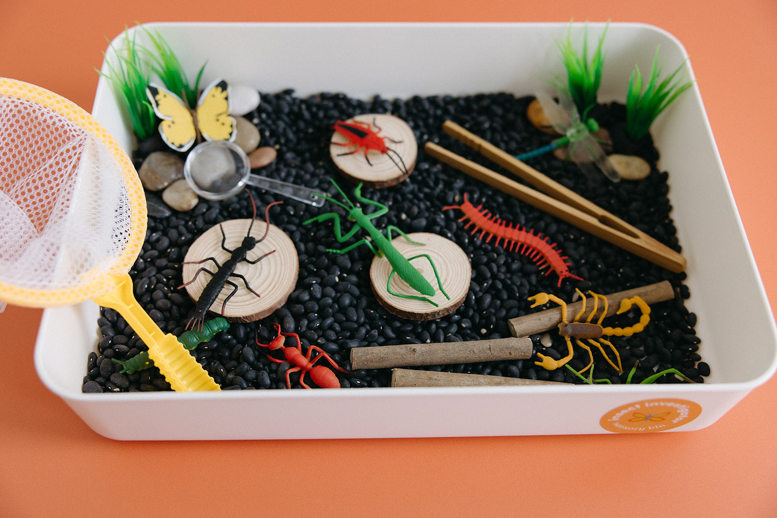 Insect Investigator Sensory Bin