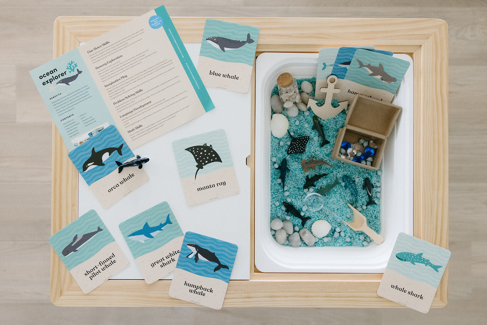 Ocean Explorer Sensory Bin