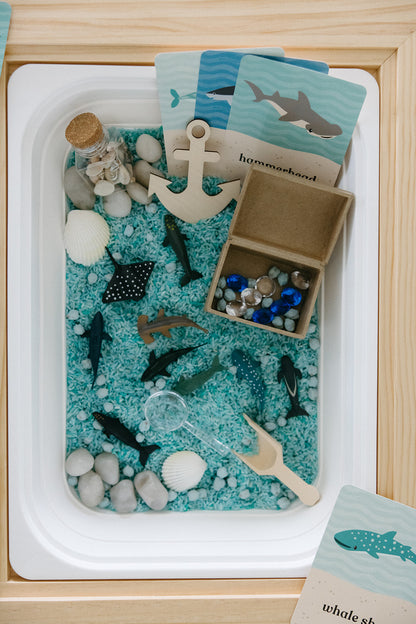 Ocean Explorer Sensory Bin