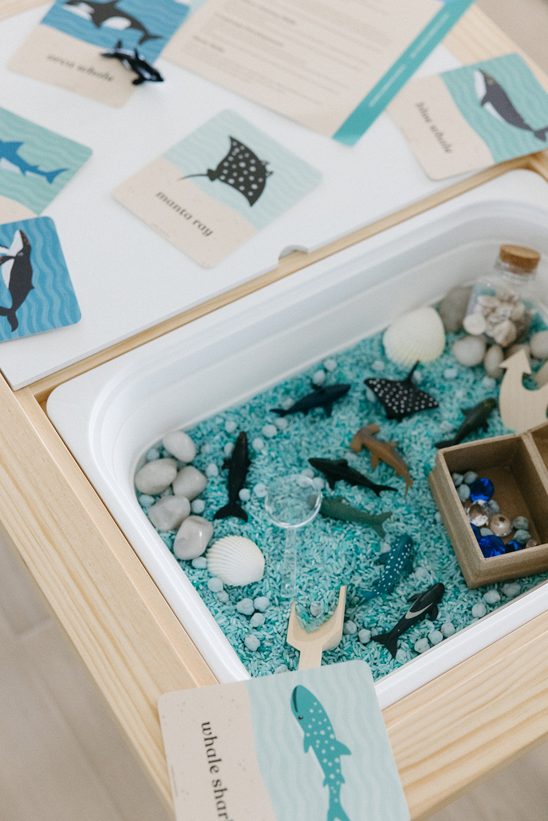 Ocean Explorer Sensory Bin