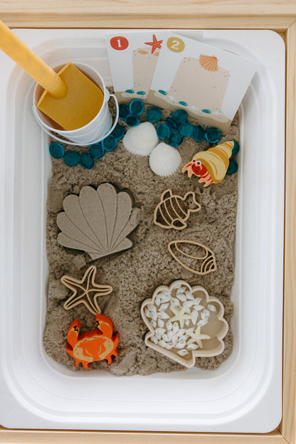 Coastal Creator Sensory Bin