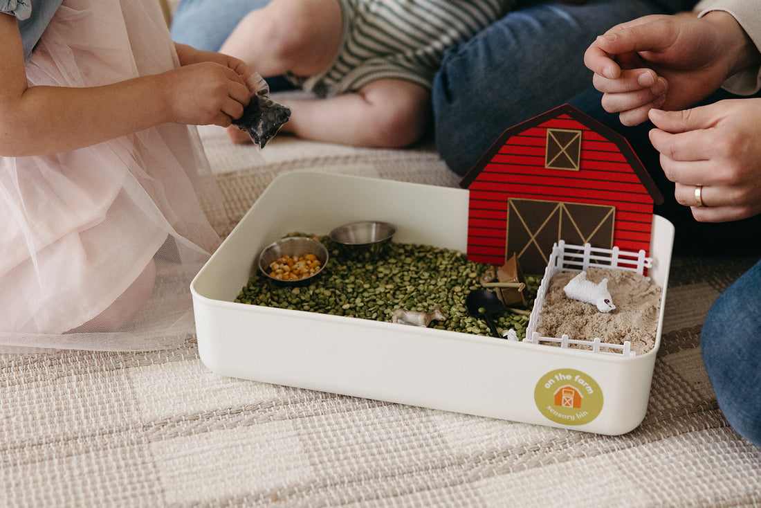 On the Farm Sensory Bin