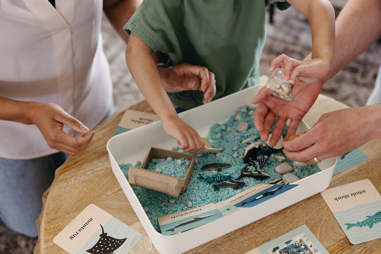 Ocean Explorer Sensory Bin