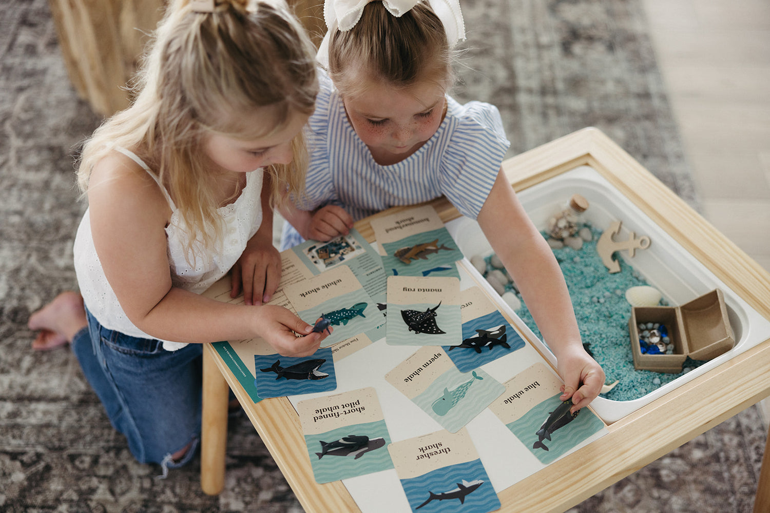 Ocean Explorer Sensory Bin