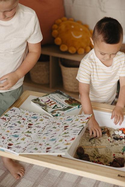 Dinosaur Digger Sensory Bin