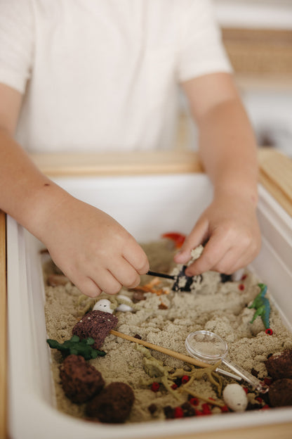 Dinosaur Digger Sensory Bin